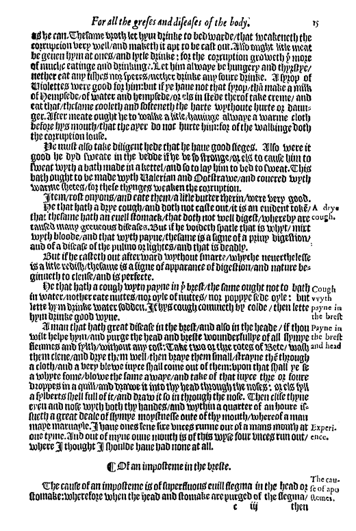 Brunschwig p14B
