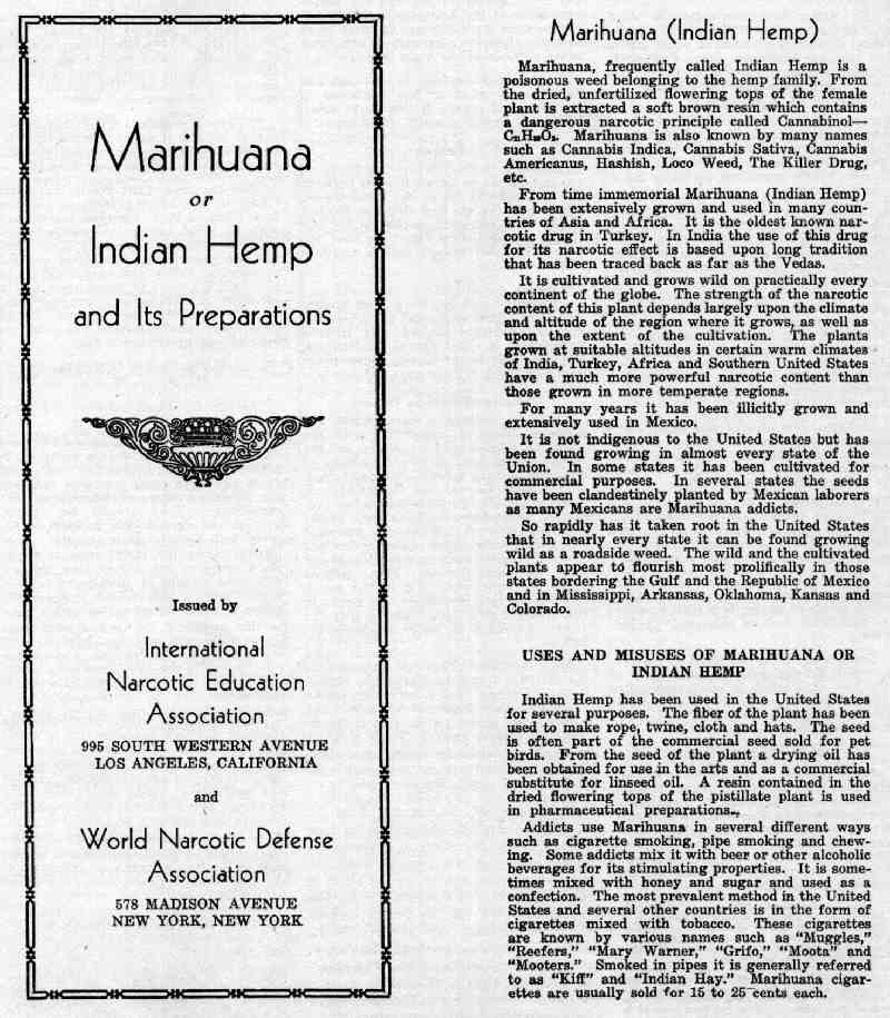 MARIHUANA OR INDIAN HEMP 